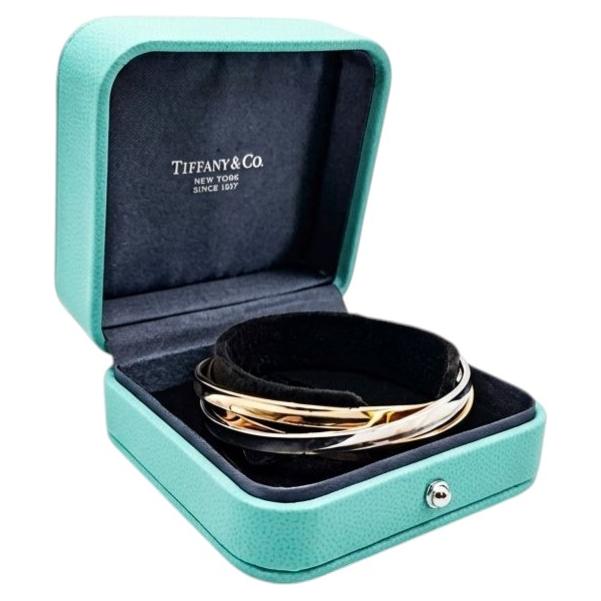 Tiffany & Co. 1837 Rolling Bangle Bracelet 18K Gold and Sterling Silver