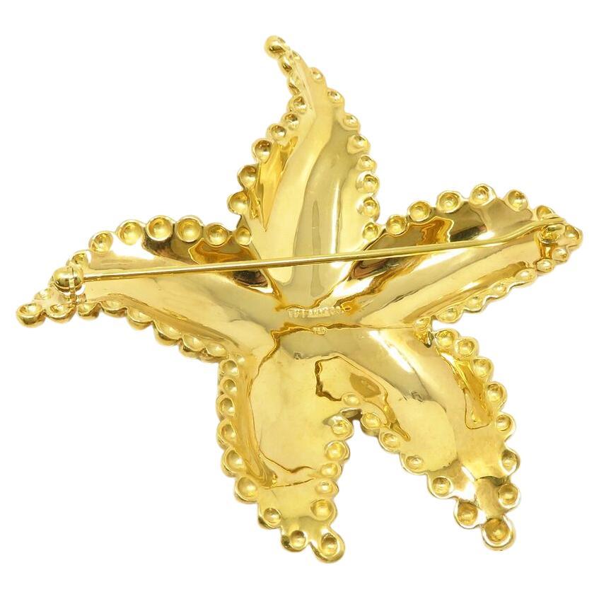 Discover elegance redefined with this distinguished Tiffany & Co. brooch, marked with the hallmark 