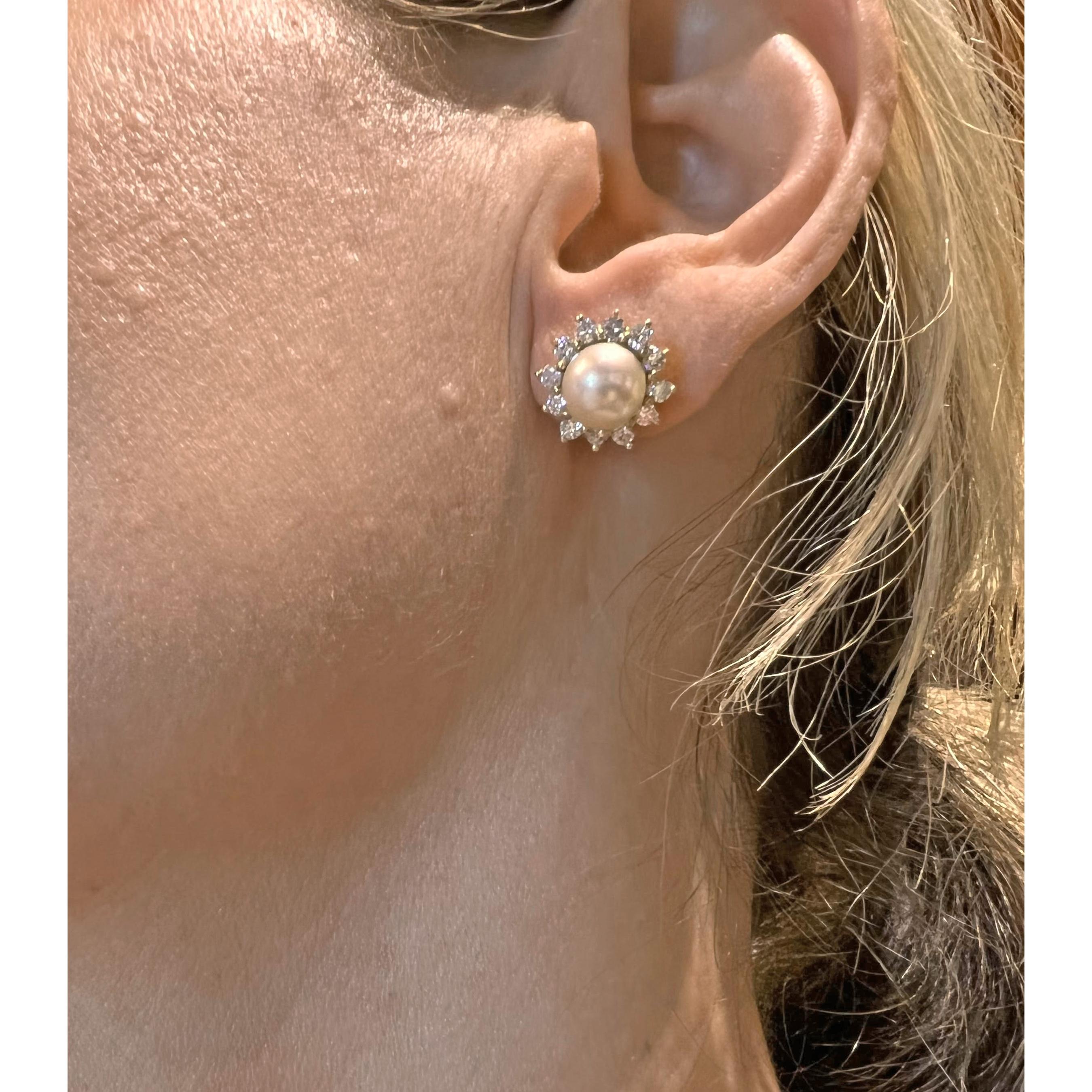 tiffany akoya pearl earrings
