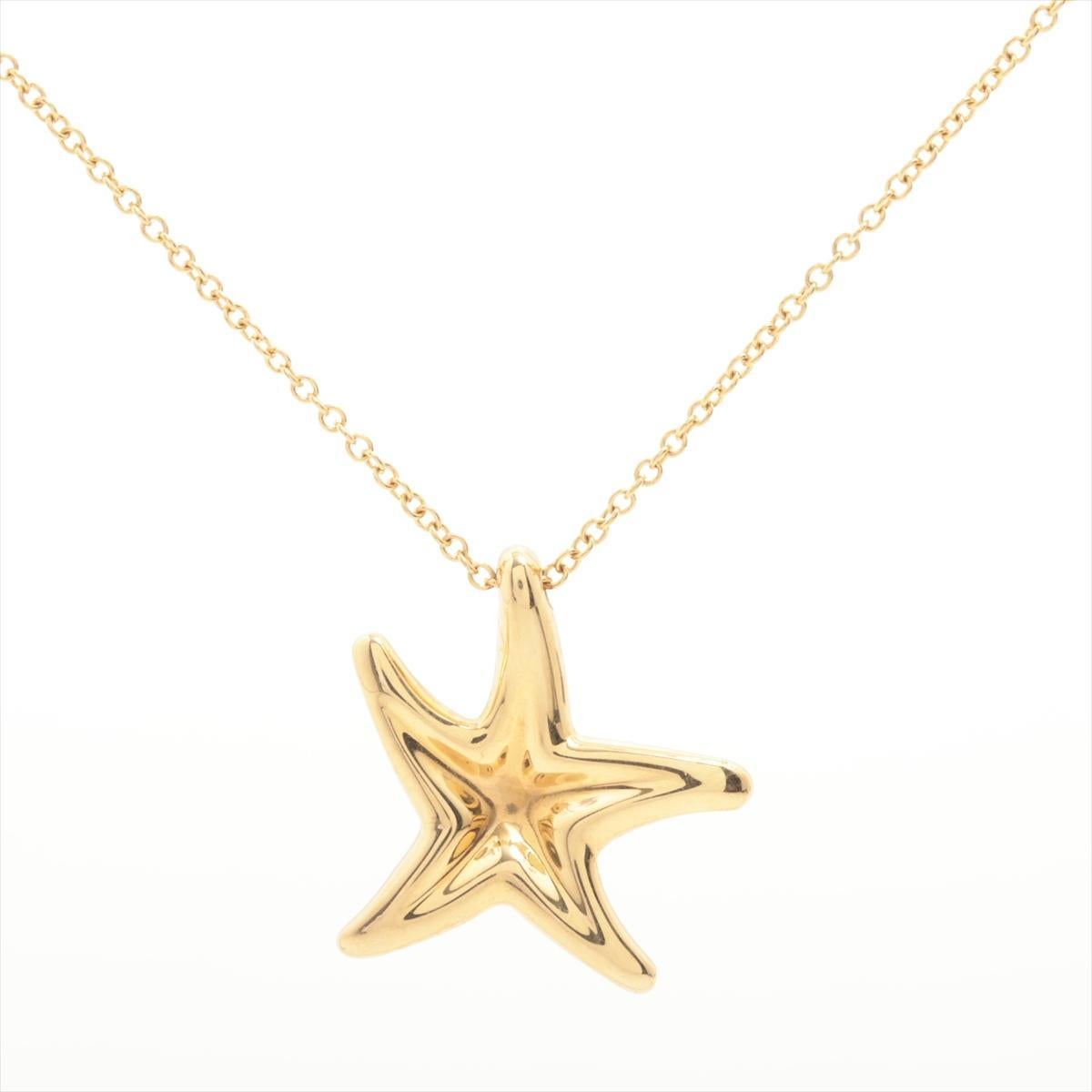 Modern Tiffany & Co 18k Gold Chain and Star Pendant Necklace 750 Yellow Gold Star Fish For Sale