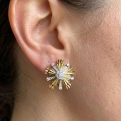 Tiffany & Co. 18K Gold Earrings