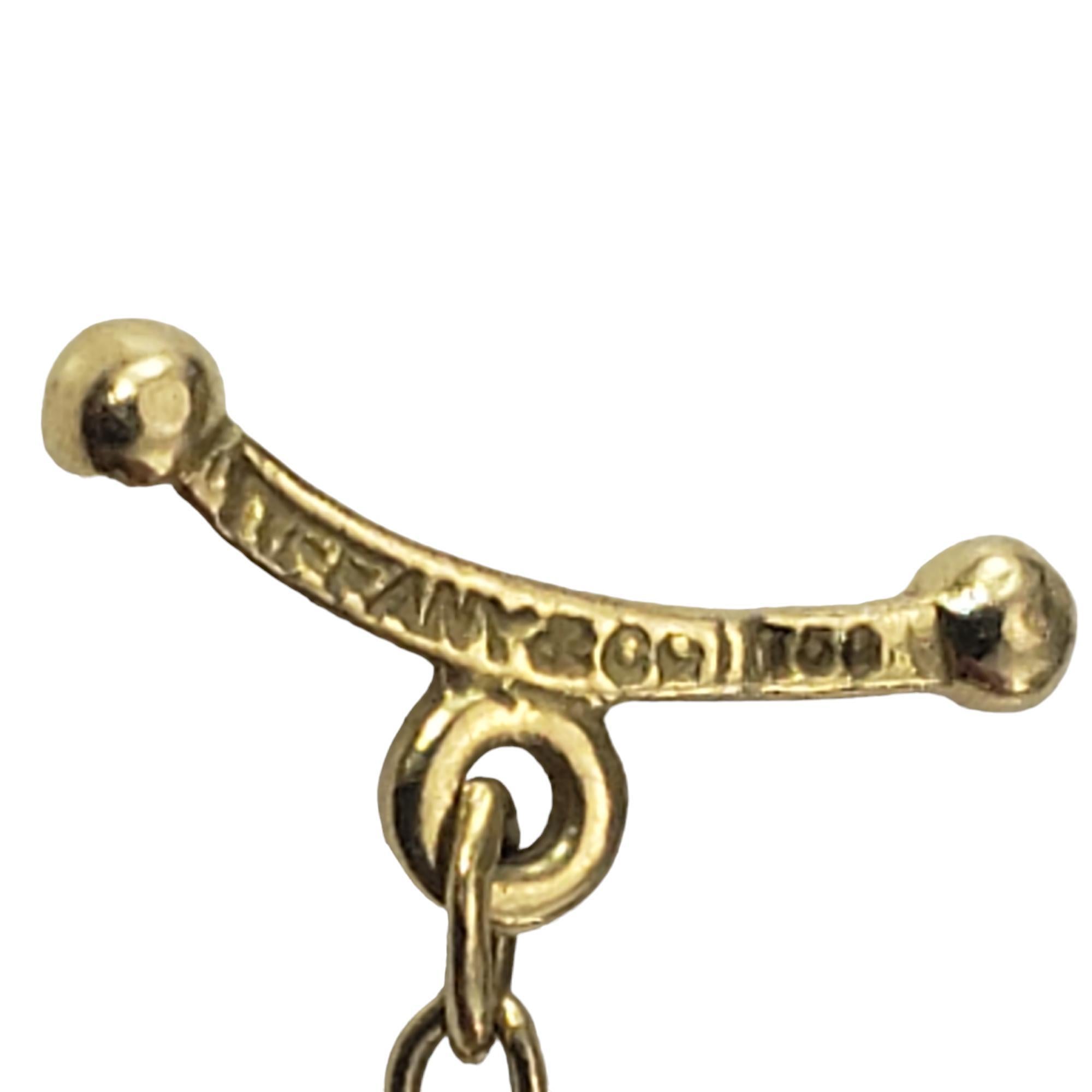 Tiffany and Co. 18K Gold Elsa Peretti Color by the Yard Ruby Necklace ...