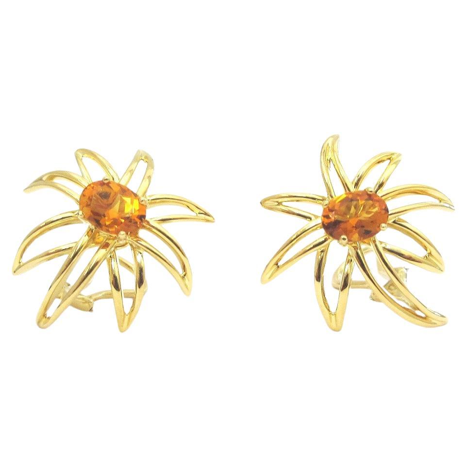 TIFFANY & Co. 18K Gold Fireworks Citrine Earrings