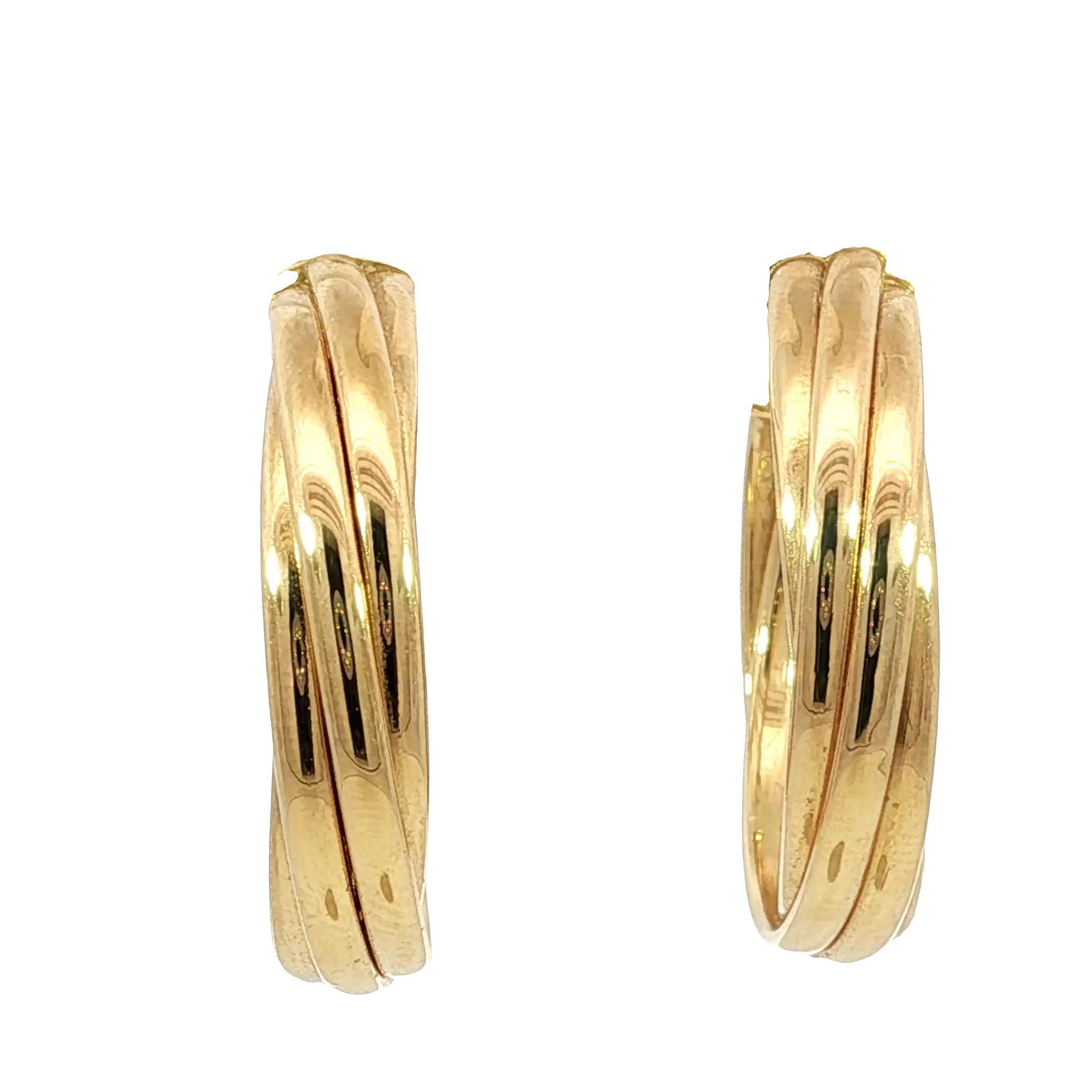 Tiffany & Co. Orecchini a cerchio Paloma Picasso for Tiffany & Co. 18 carati in oro giallo

Questi orecchini Paloma Picasso for Tiffany & Co. presentano un design elegante e moderno in oro giallo 18 carati. I cerchi presentano una superficie liscia