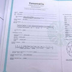 Tiffany & Co. 18K White Gold Bubbles Single Diamond Necklace