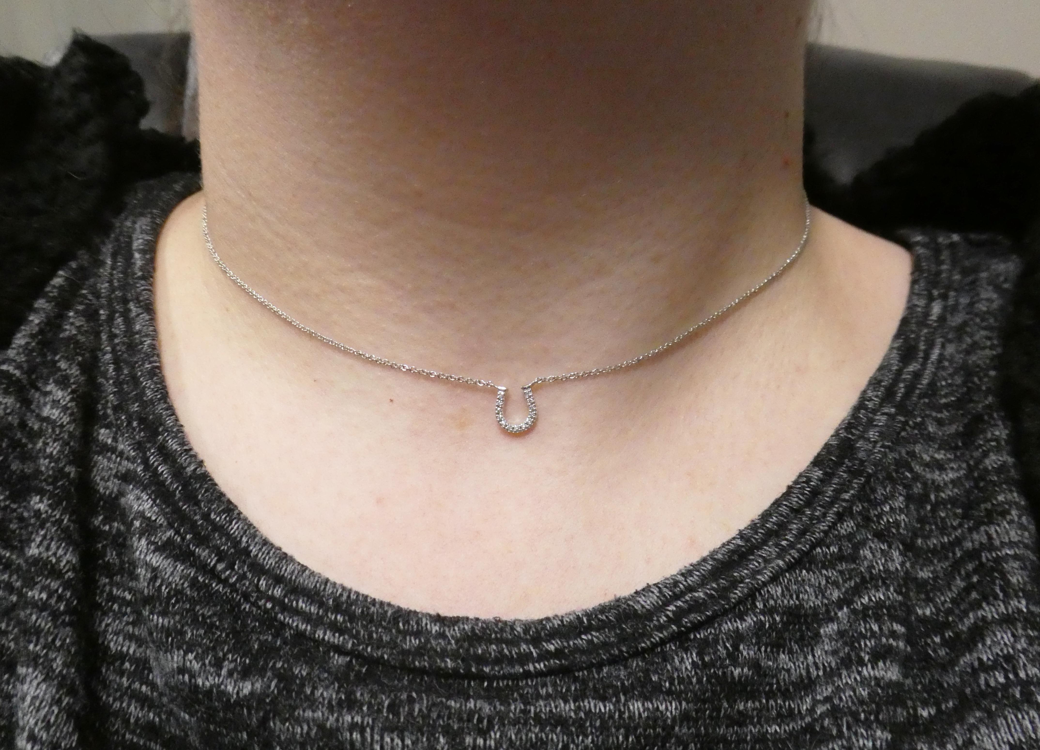 Round Cut Tiffany & Co. 18 Karat White Gold Pave Diamond Horse Shoe Pendant Necklace