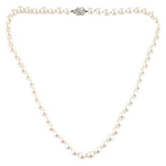 Tiffany & Co. 18K White Gold Pearl Necklace 18.5" #14735
