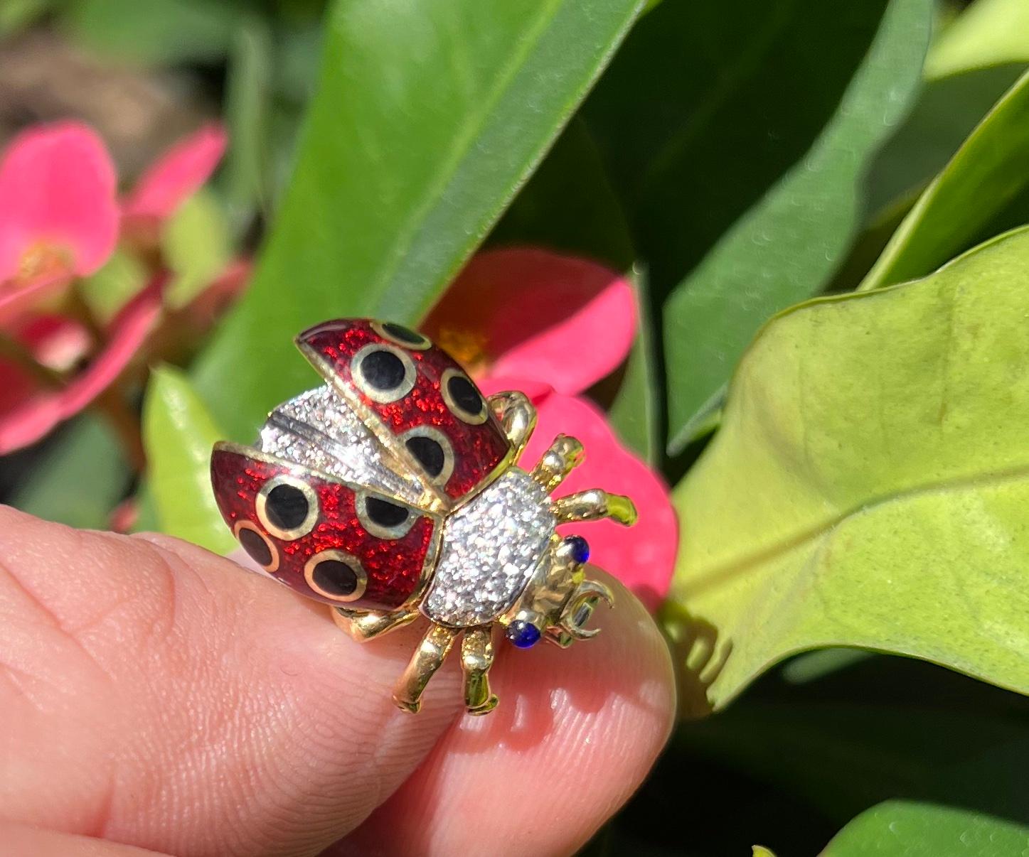 gold ladybug