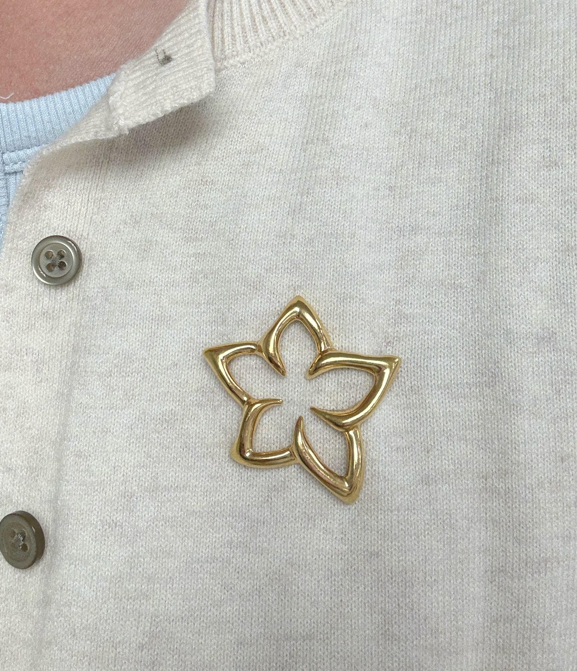 Questa stravagante spilla di Tiffany & Co. presenta un fiore a stella a cinque punte con finitura lucida.

Accompagnato da un astuccio e da una scatola Tiffany.

Materiale: Oro giallo 18 carati
Timbro: TIFFANY&CO. ITALIA 750.
Misure: 1 1/2 x 1 5/8