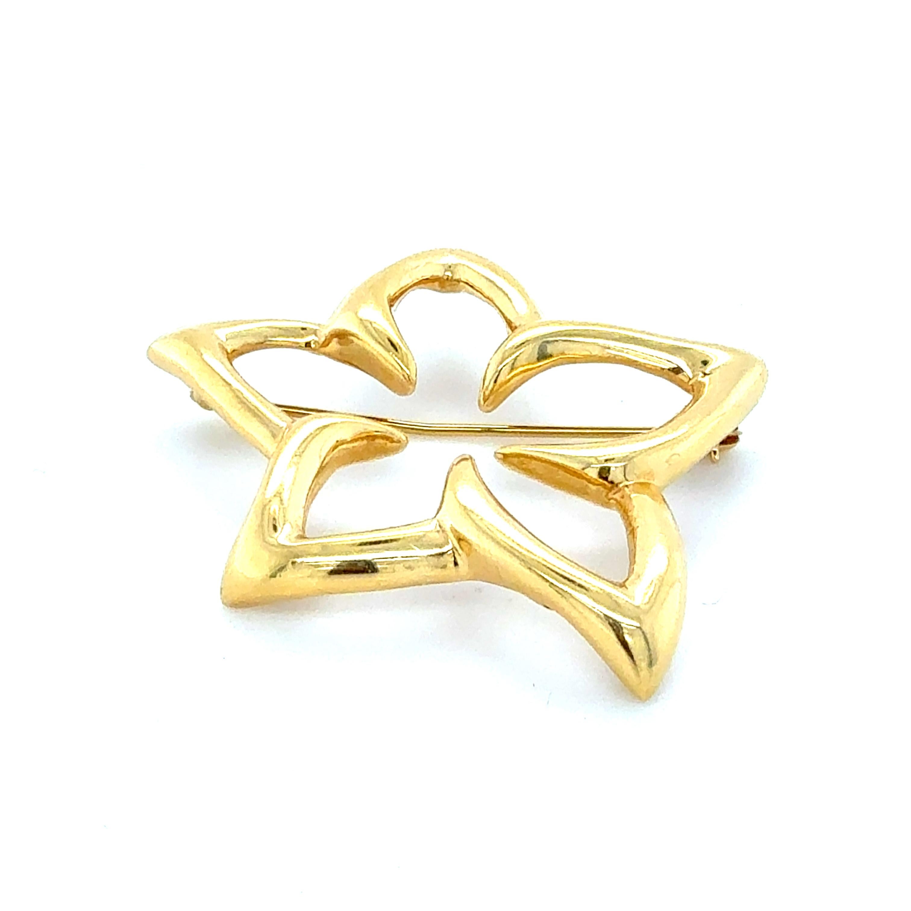 Contemporaneo Spilla a forma di stella con fiore in oro giallo 18 carati di Tiffany & Co. in vendita