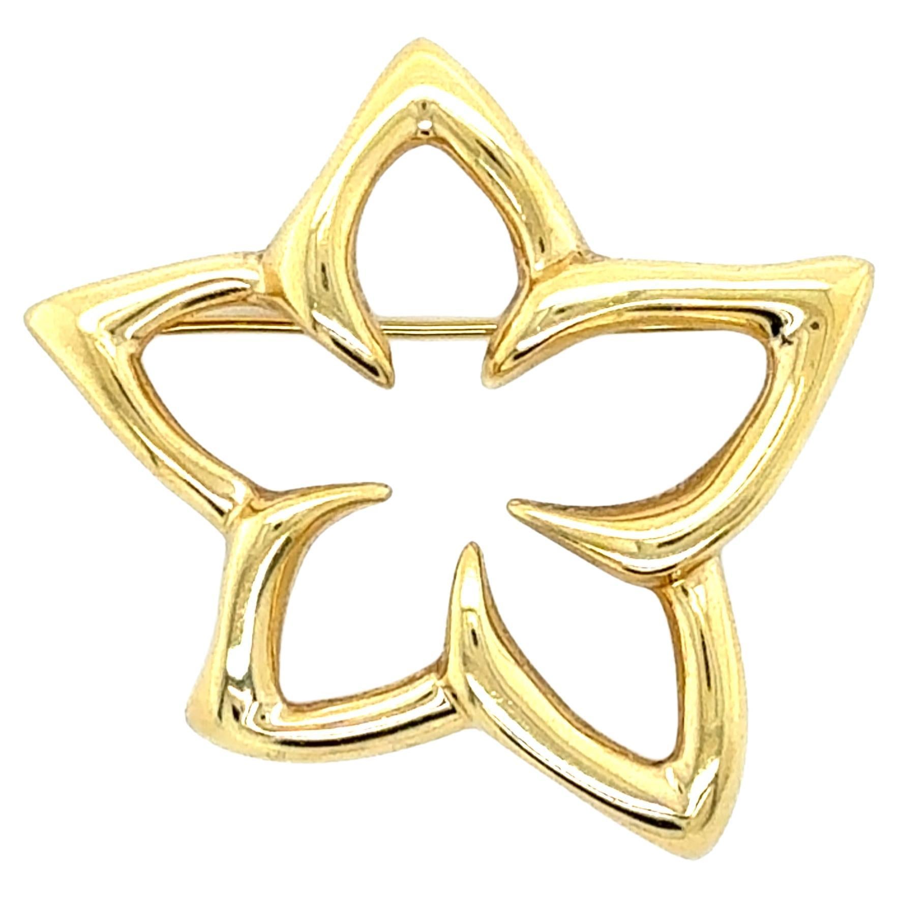 Tiffany & Co. 18K Yellow Gold Flower Star Brooch