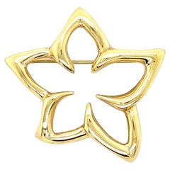 Tiffany & Co. 18K Yellow Gold Flower Star Brooch