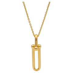 Tiffany & Co. 18K Yellow Gold HardWear Elongated Link Pendant Necklace – Large