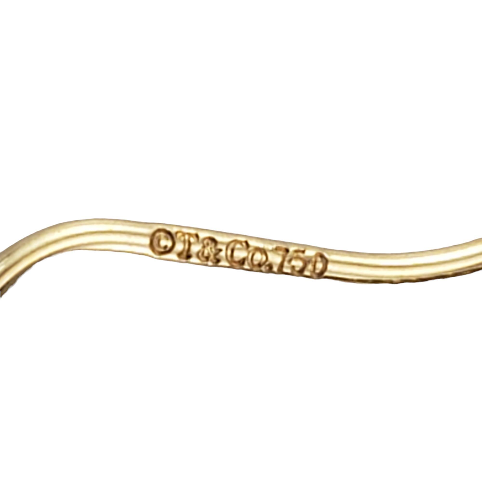 Tiffany & Co. 18K Yellow Gold Mesh Fringe Dangle Earrings #17329 For Sale 2
