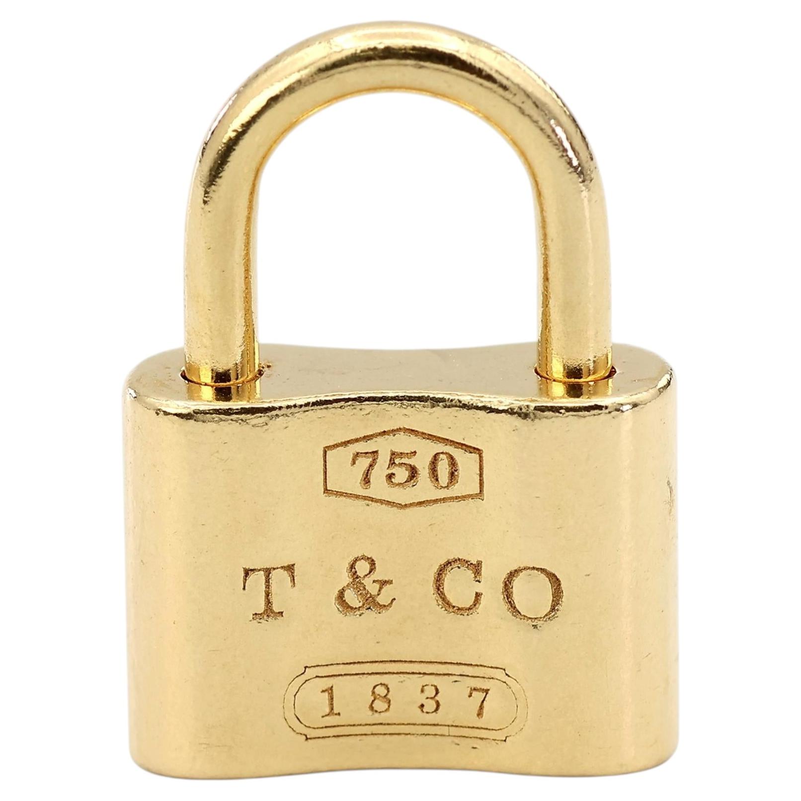 What does the padlock necklace mean?
