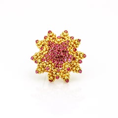 Tiffany & Co. 18 Karat Yellow Gold Ruby Sun Starfish Brooch