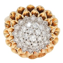 Gold-Kuppel-Ringe