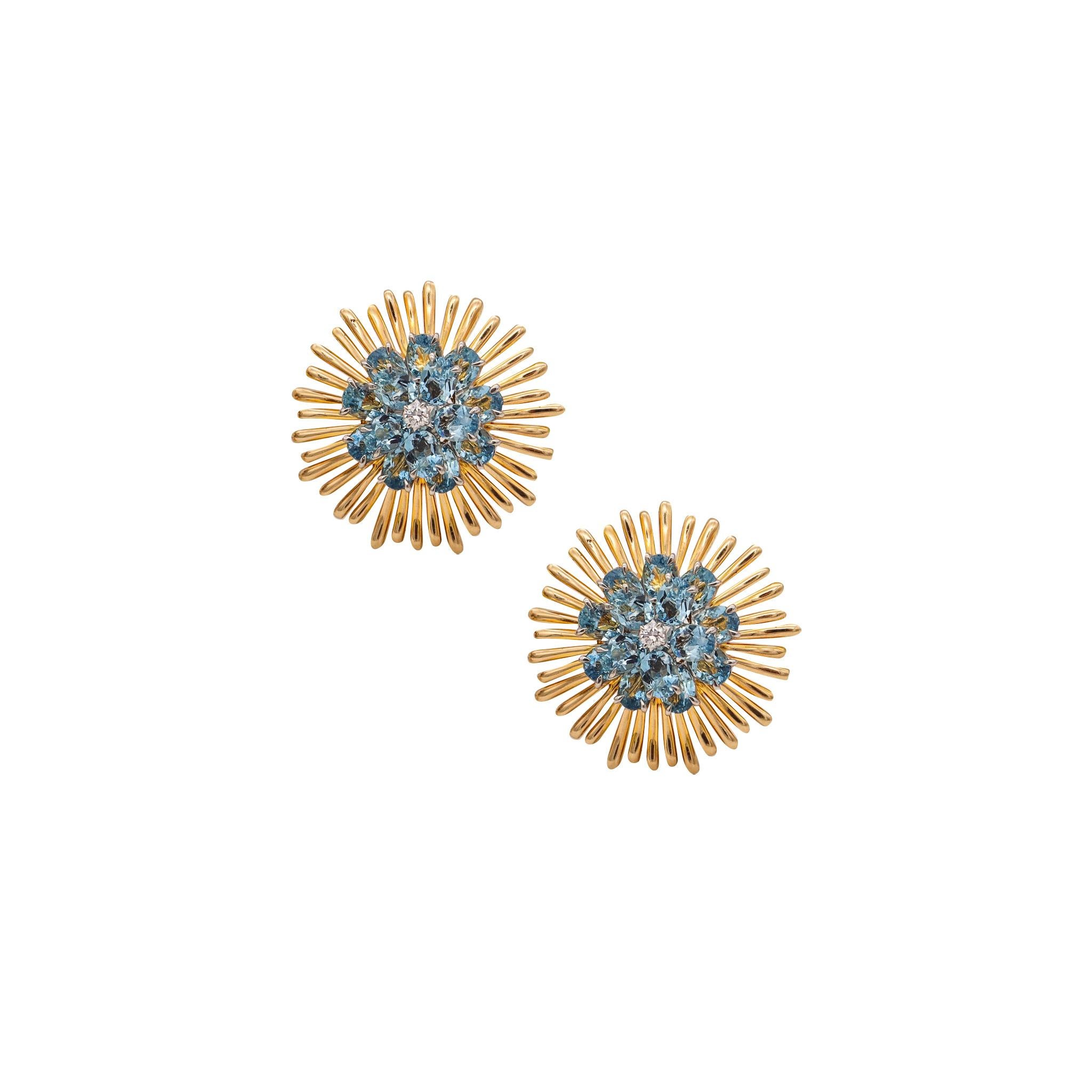 Cluster earrings designed by Donald Claflin (1935-1979) for Tiffany & Co.

An exceptionally rare pieces, created in New York City at the Tiffany Studios by Donald Claflin, back in the 1960's. These beautiful bold pair of clips-earrings has been