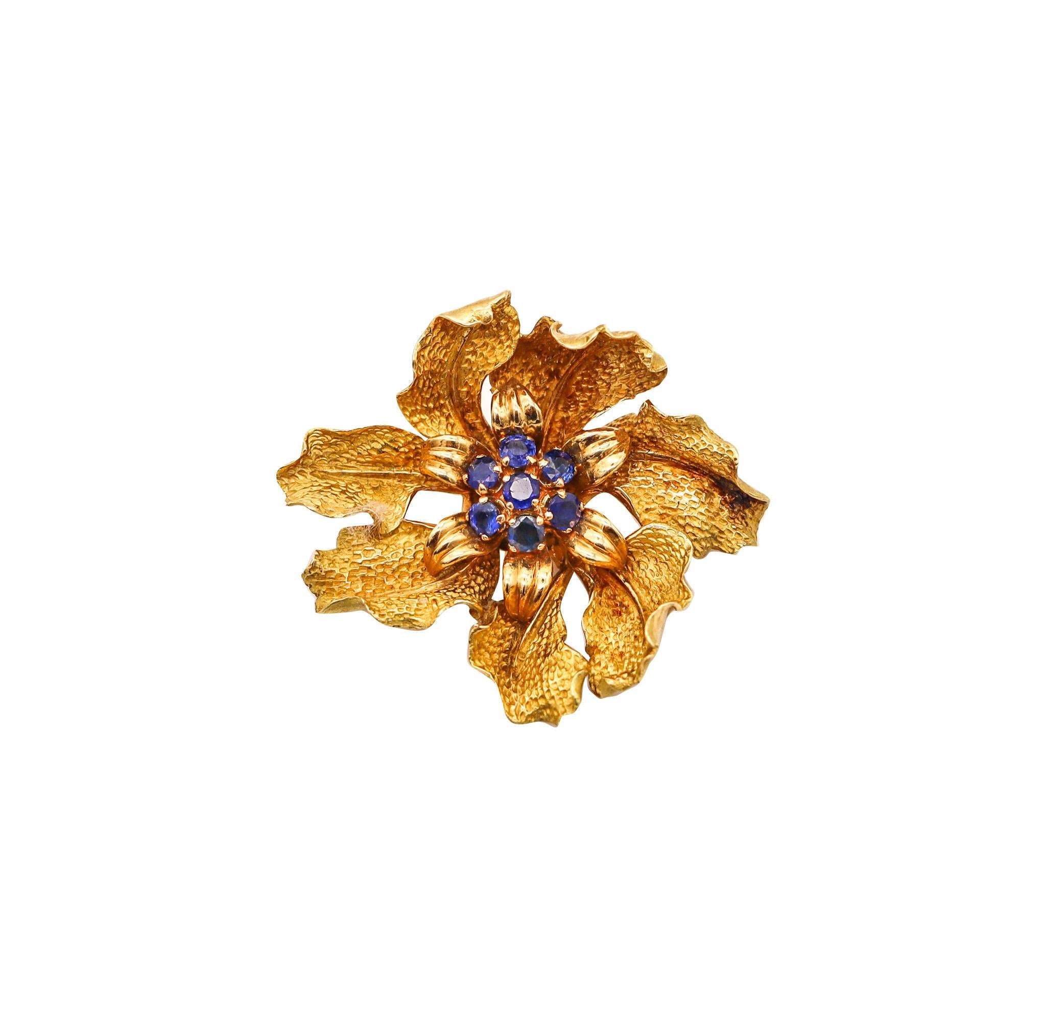 Round Cut Tiffany & Co. 1960 Organic Brooch In 18Kt Yellow Gold With 1.26 Ctw In Sapphires