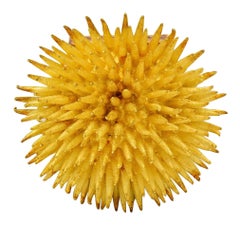 Tiffany & Co. 1960's 18 Karat Yellow Gold Vintage Sea Urchin Brooch
