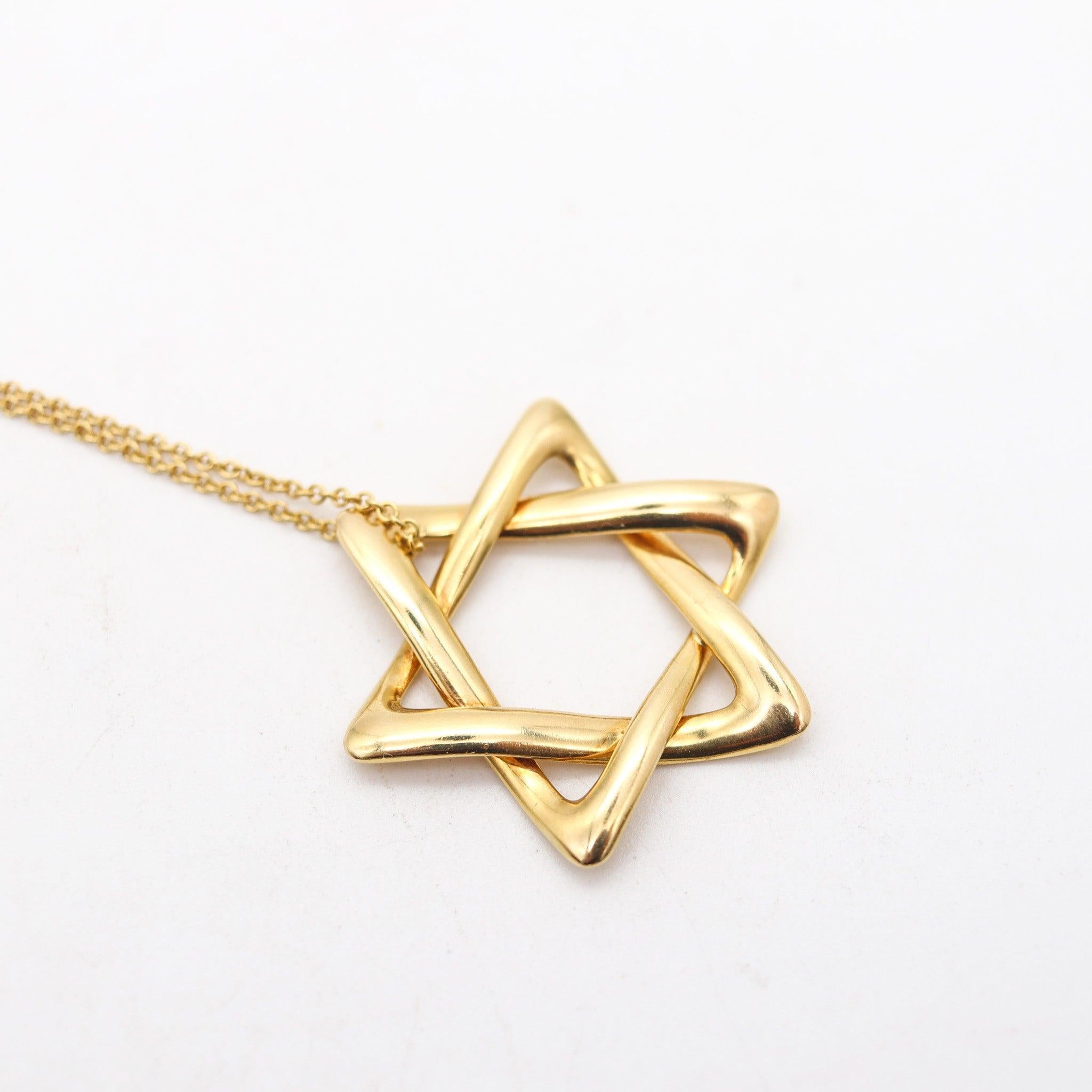 Women's or Men's TIFFANY & CO 1979 Elsa Peretti Large David's Star Long Necklace in 18Kt Yellow For Sale