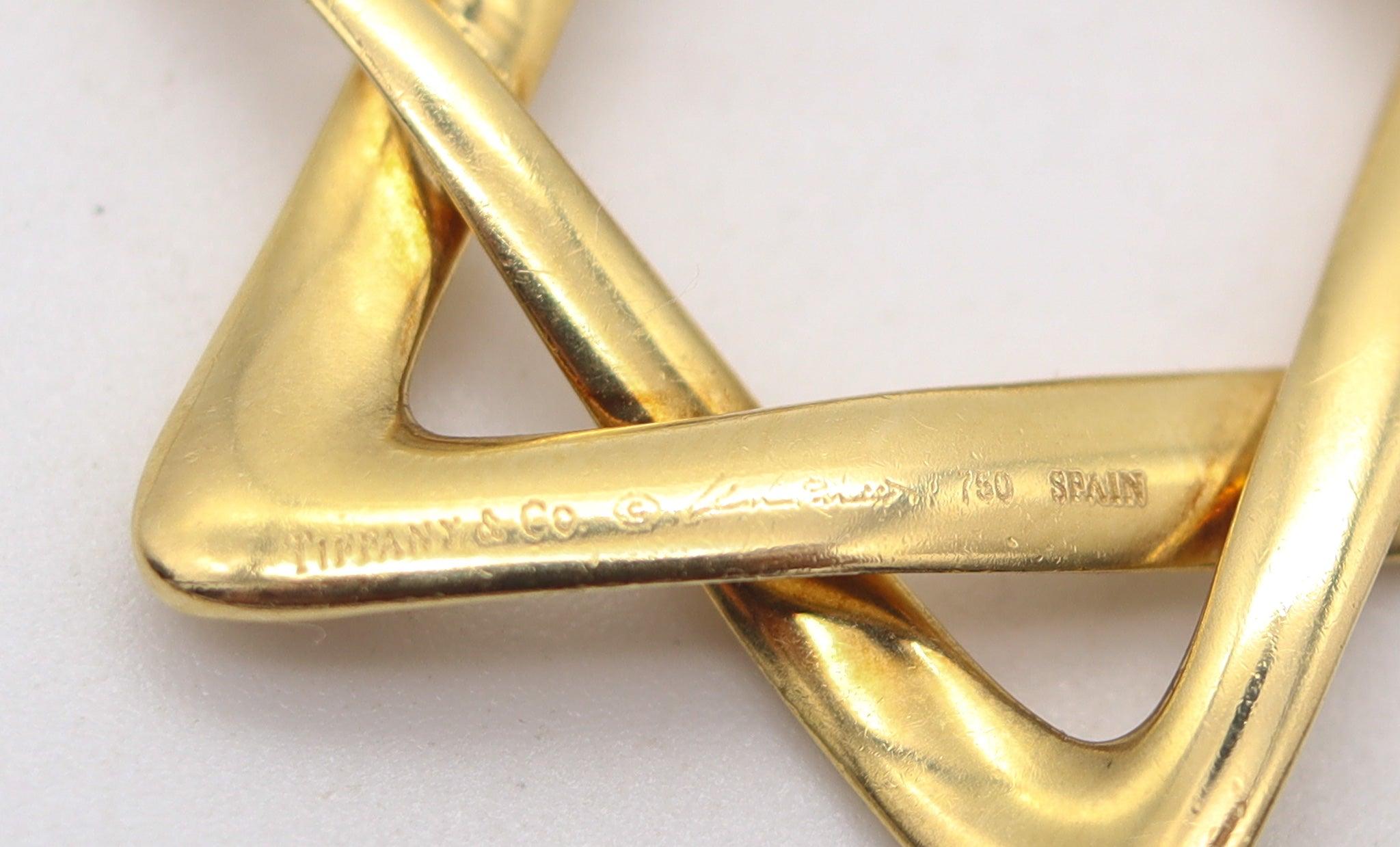 TIFFANY & CO 1979 Elsa Peretti Large David's Star Long Necklace in 18Kt Yellow For Sale 1