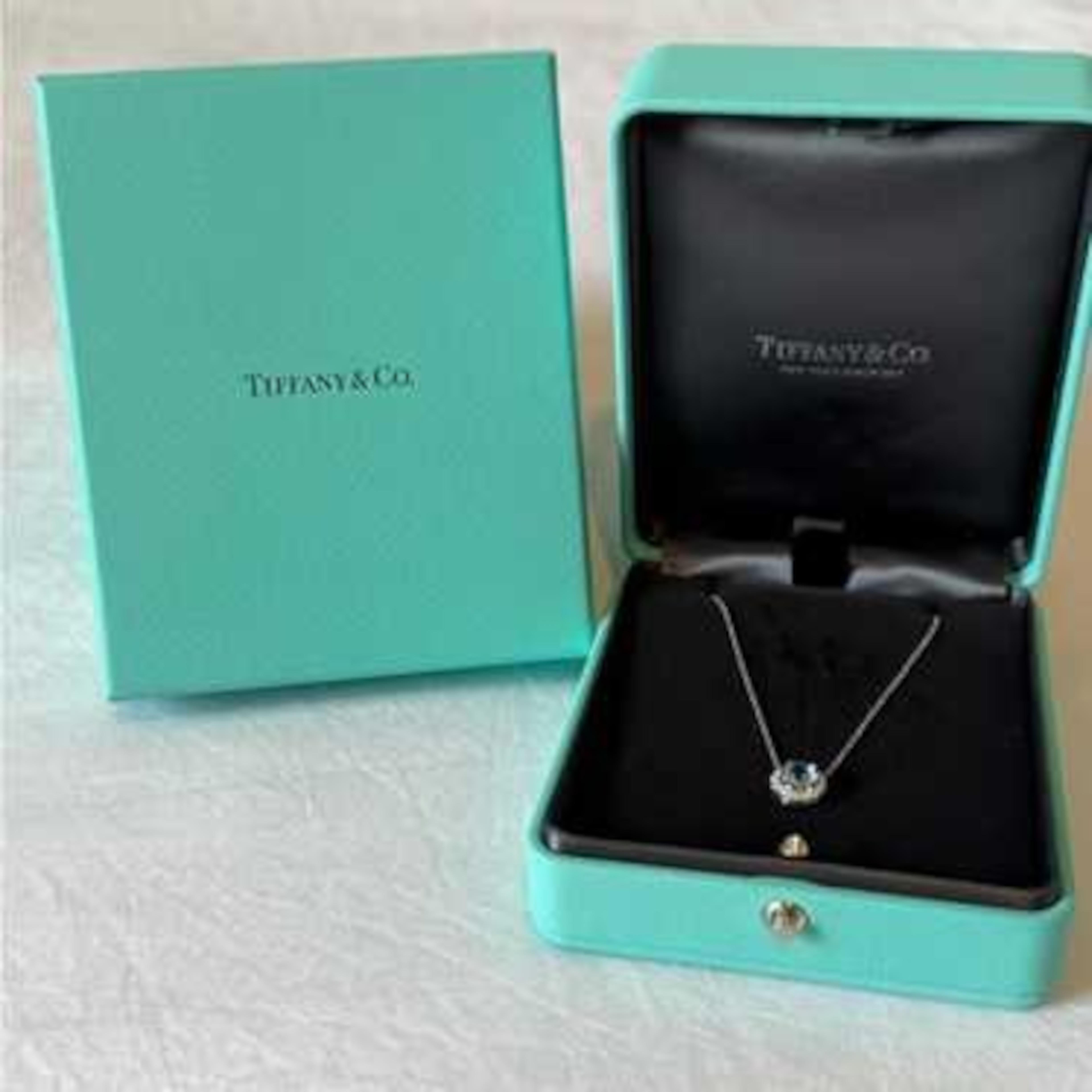 Women's or Men's Tiffany & Co. 2.49 Carat Diamond Soleste Halo Platinum Pendant Necklace For Sale