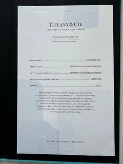 TIFFANY & CO. 2.69 ct Round Brilliant Cut Diamond Solitaire Pendant