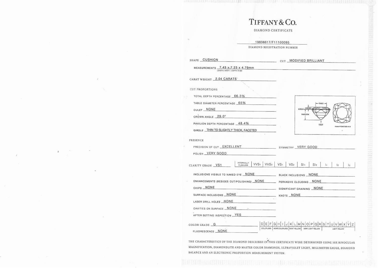 Tiffany & Co 3.54 Carat Cushion Brilliant and Round Diamond Platinum Halo Ring For Sale 8