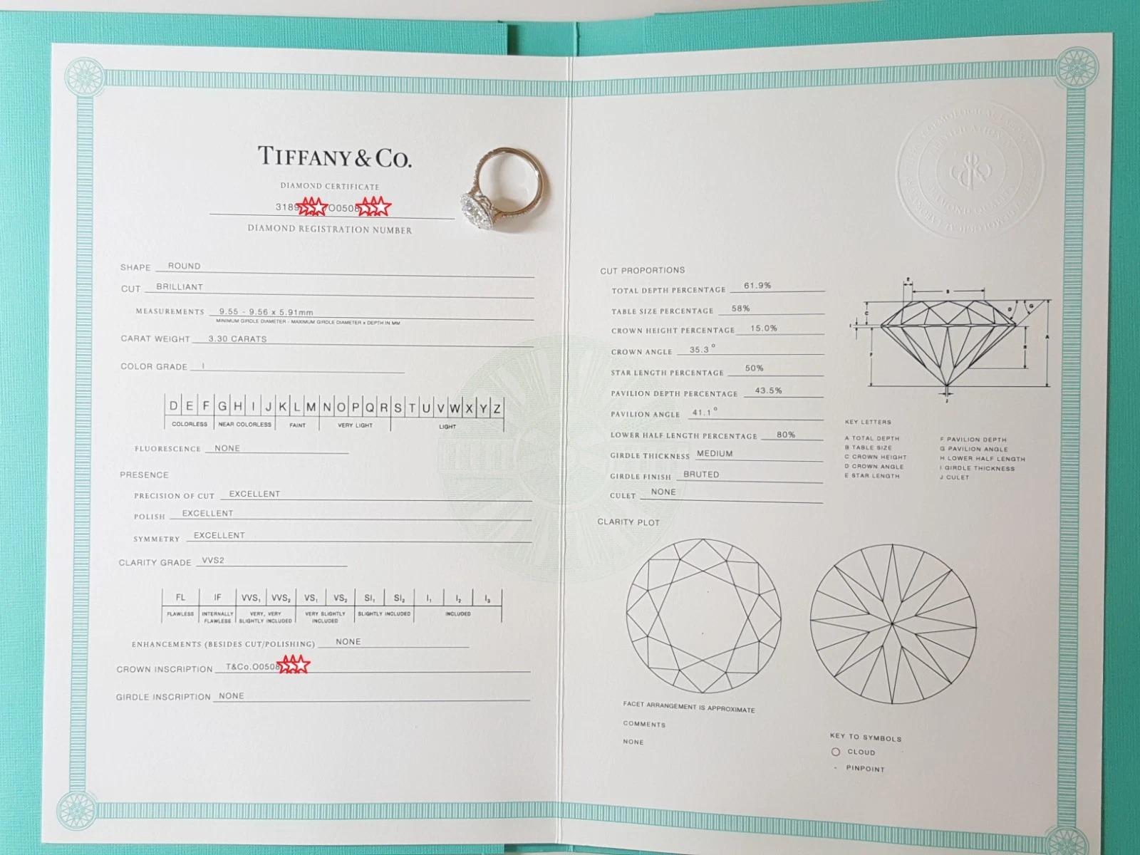 Contemporary Tiffany & Co. 3.82 Carat Platinum Soleste Diamond Halo Engagement Ring For Sale