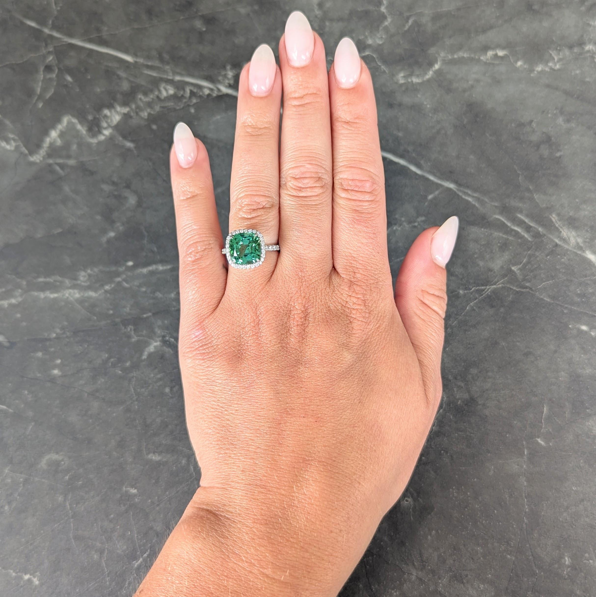 En el centro una turmalina talla cojín de 3,88 quilates - transparente de color verde azulado medio
Engastado en cesta con un halo de diamantes redondos talla brillante engastados con perlas
Con diamantes adicionales engastados en hileras en los