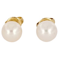 Tiffany & Co. Pendientes de perla Akoya blanca de 7,8 mm y oro amarillo de 18 quilates