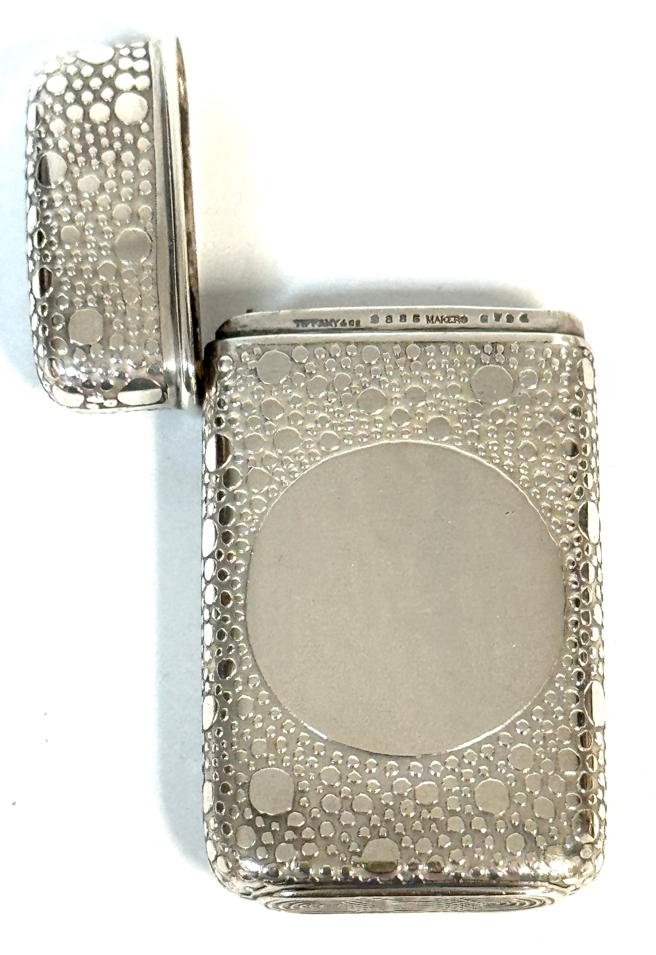 XIX secolo Tiffany & Co. Aesthetic Movement Sterling  Abbinamenti sicuri con il modello Raindrop-Shagreen in vendita