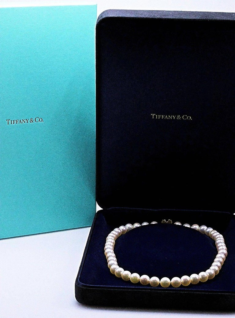 Tiffany and Co. Akoya Cultured Pearl Signature X Necklace 18 Karat ...