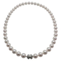 Tiffany & Co. Akoya Pearl Strand Necklace with 18k White Gold Signature Clasp