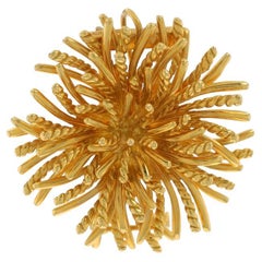 Tiffany & Co. Anemone Brooch - Yellow Gold 18k Ocean Life Pendant Pin