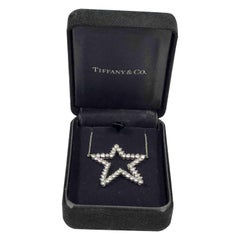 Tiffany & Co. Angela Cummings Diamond Platinum Large Star Pendant Necklace