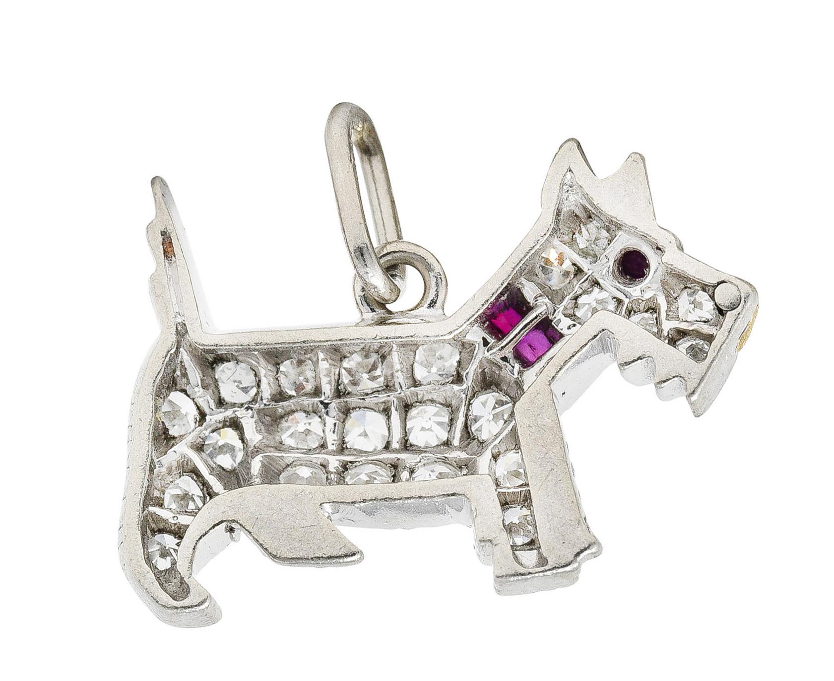 nose of the scottie dog represents