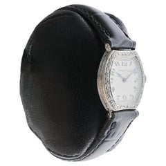 Tiffany & Co. by Agassiz Platinum Ladies Art Deco Watch 1920's Dial by Stern