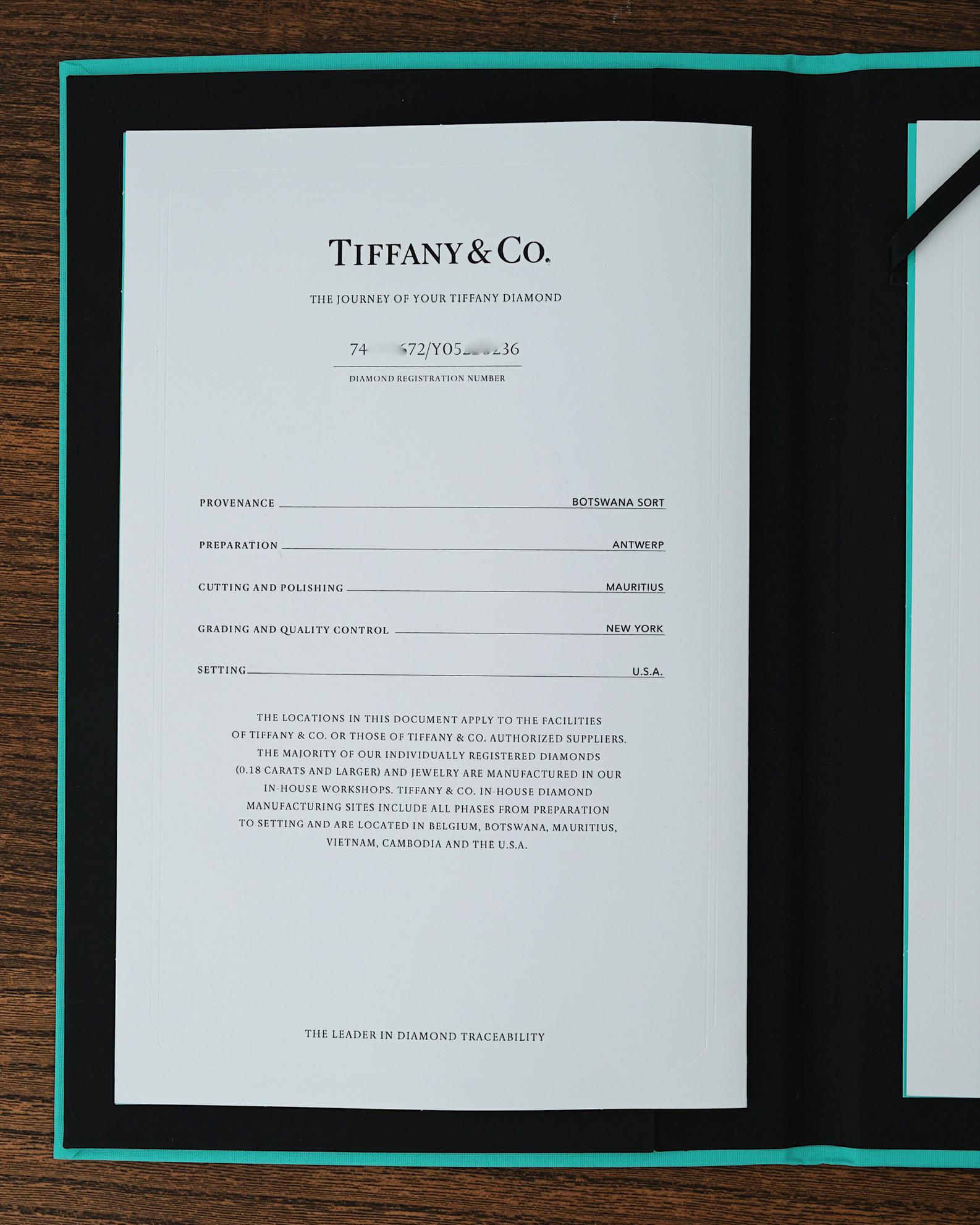 Tiffany & Co, By the Yard 0.24 Carat H/VVS1 Diamond & 18K Yellow Gold Necklace For Sale 4