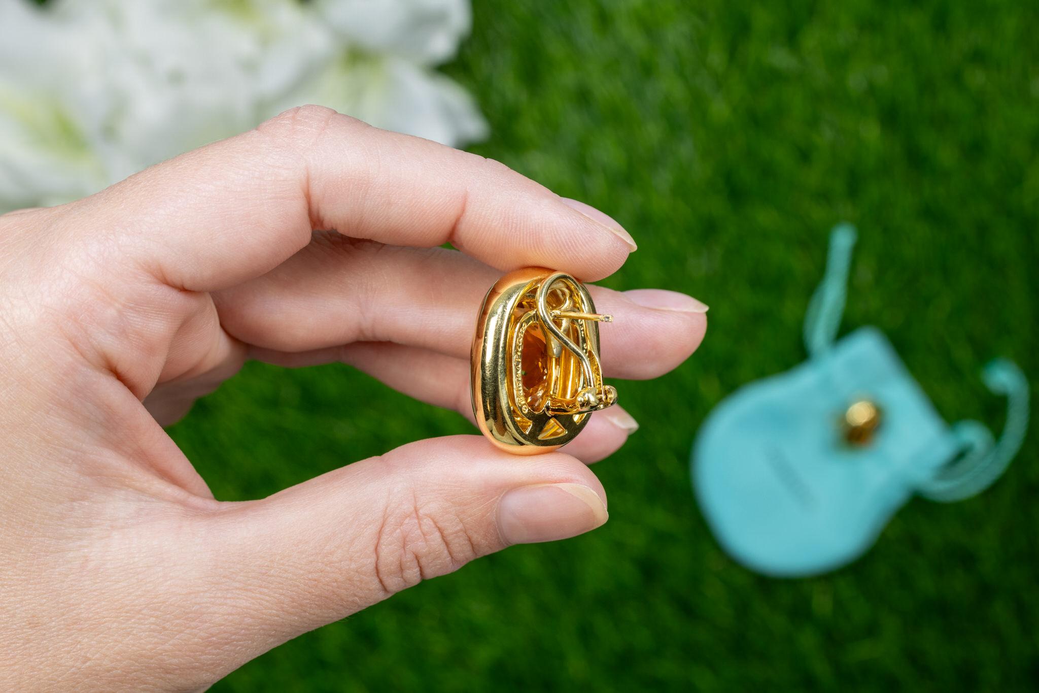 Tiffany & Co Citrine Earrings Paloma Picasso Collection 18K Yellow Gold 2