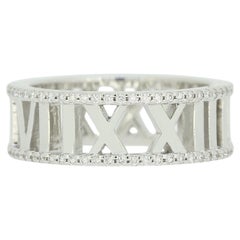 Tiffany & Co. Diamond Atlas Ring Size M (53)