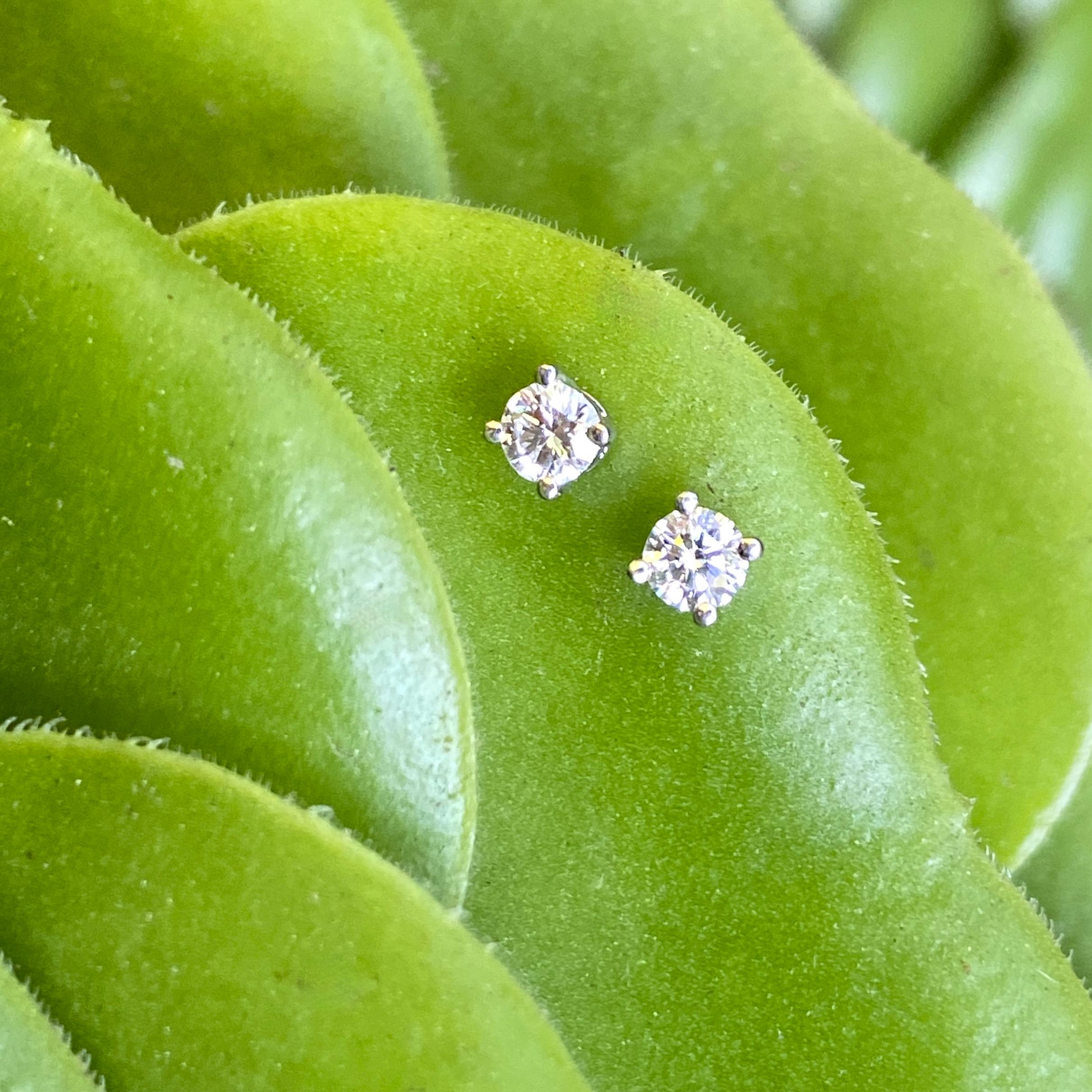 A pair of Tiffany studs will never let you down.  These are small, but versatile, and impeccably well-made in platinum with screw-on butterfly closures.  

The brilliant cut diamonds are 3.2mm -- 0.12 carats each -- and Tiffany's usual high quality;