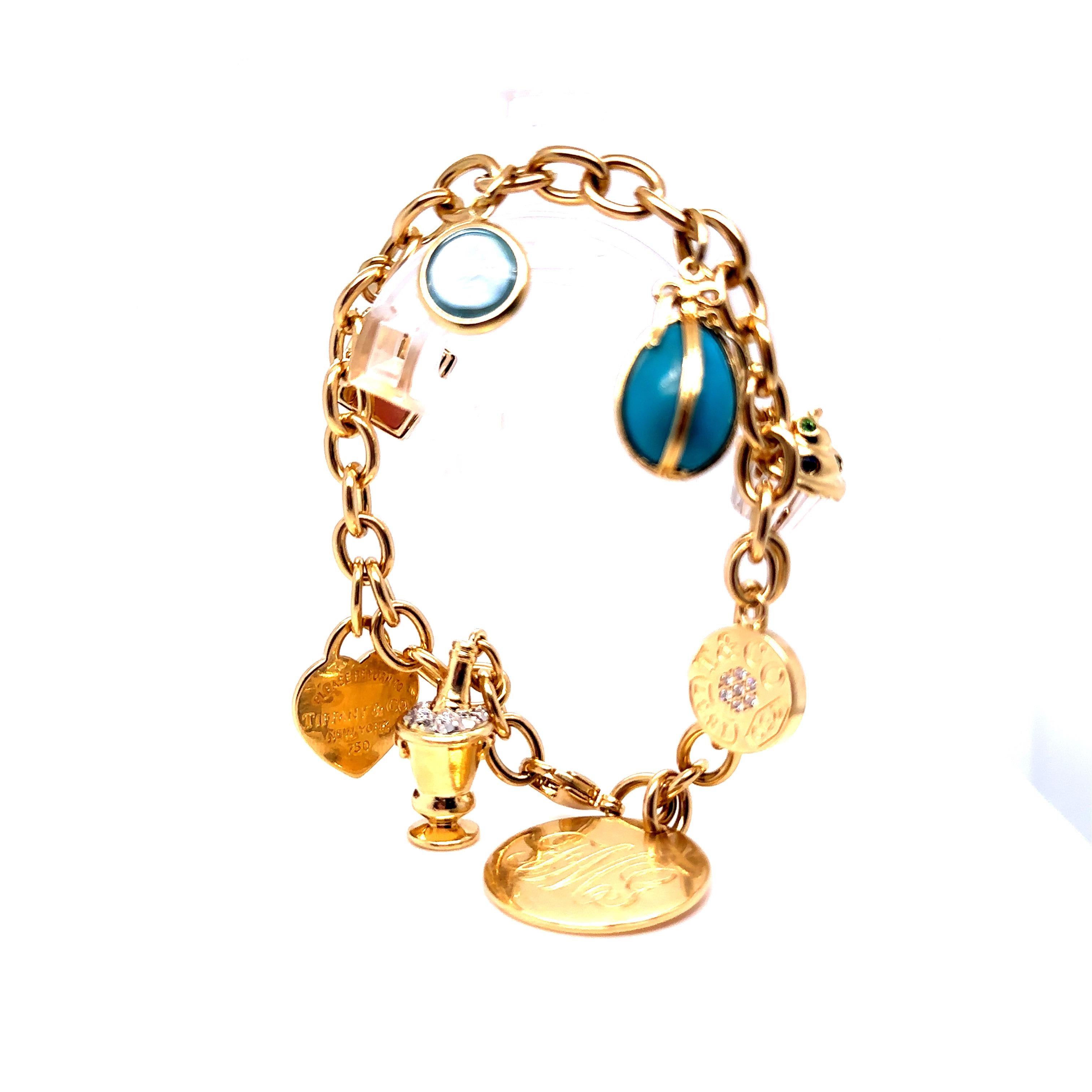 Tiffany & Co Dog Chain link Bracelet 6
