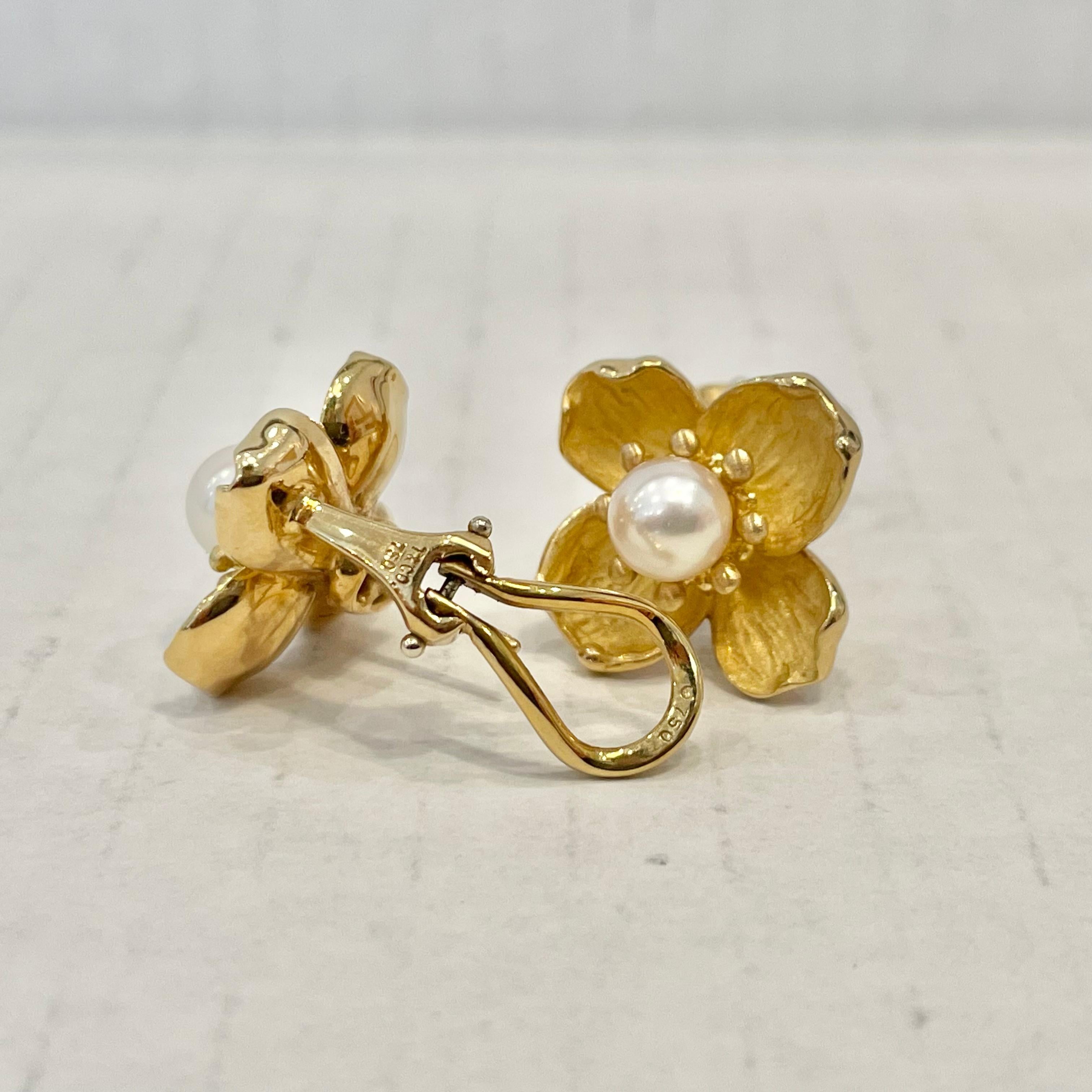 Tiffany & Co. Dogwood & Perlen-Ohrringe aus 18 Karat Gelbgold (Rundschliff) im Angebot