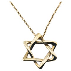 Tiffany & Co. Elsa Peretti 18K Gold 18 mm Large Star of David Pendant Necklace