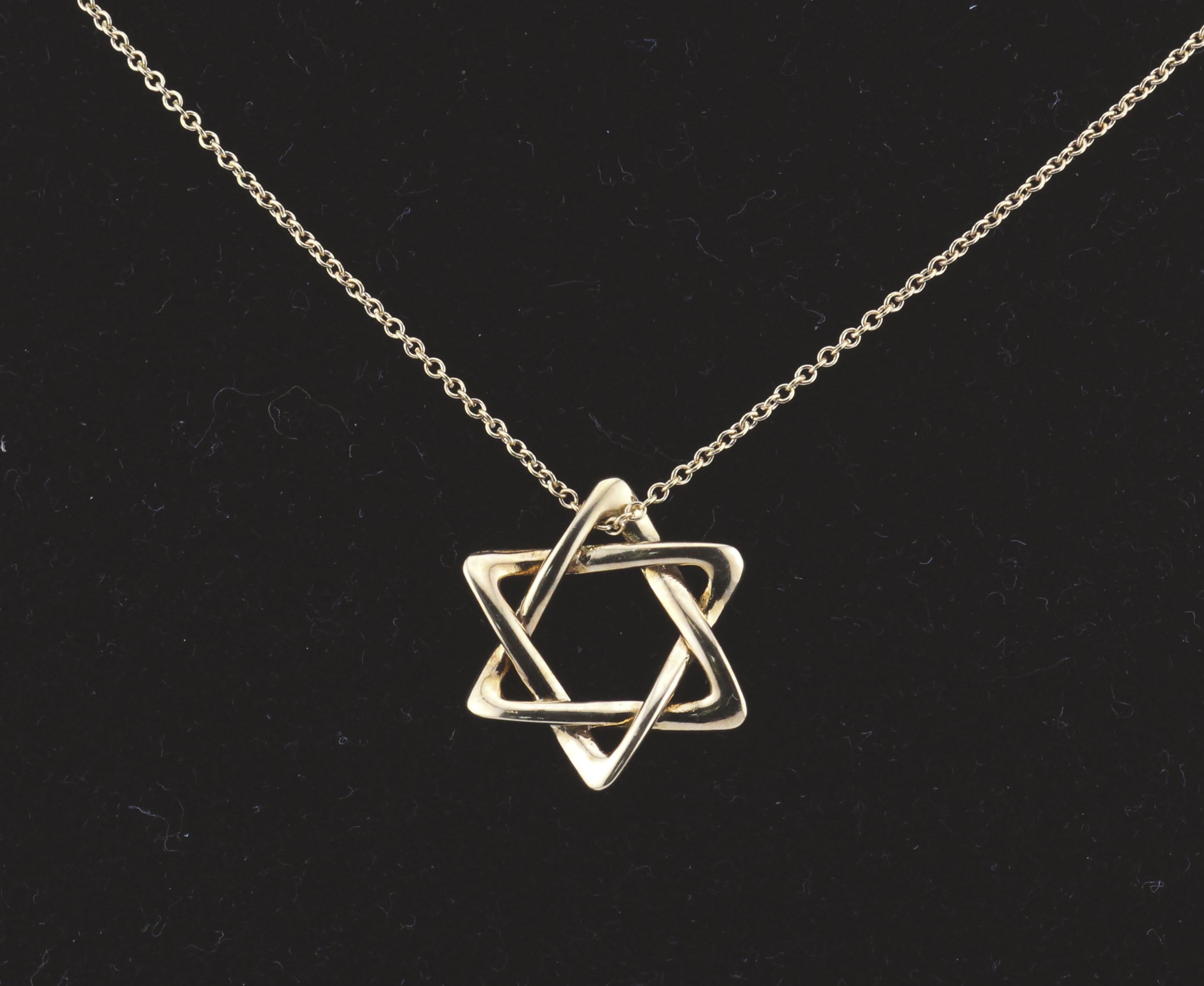 Tiffany & Co. Elsa Peretti 18K Gold  Large (18mm) Star of David Pendant Necklace For Sale 1