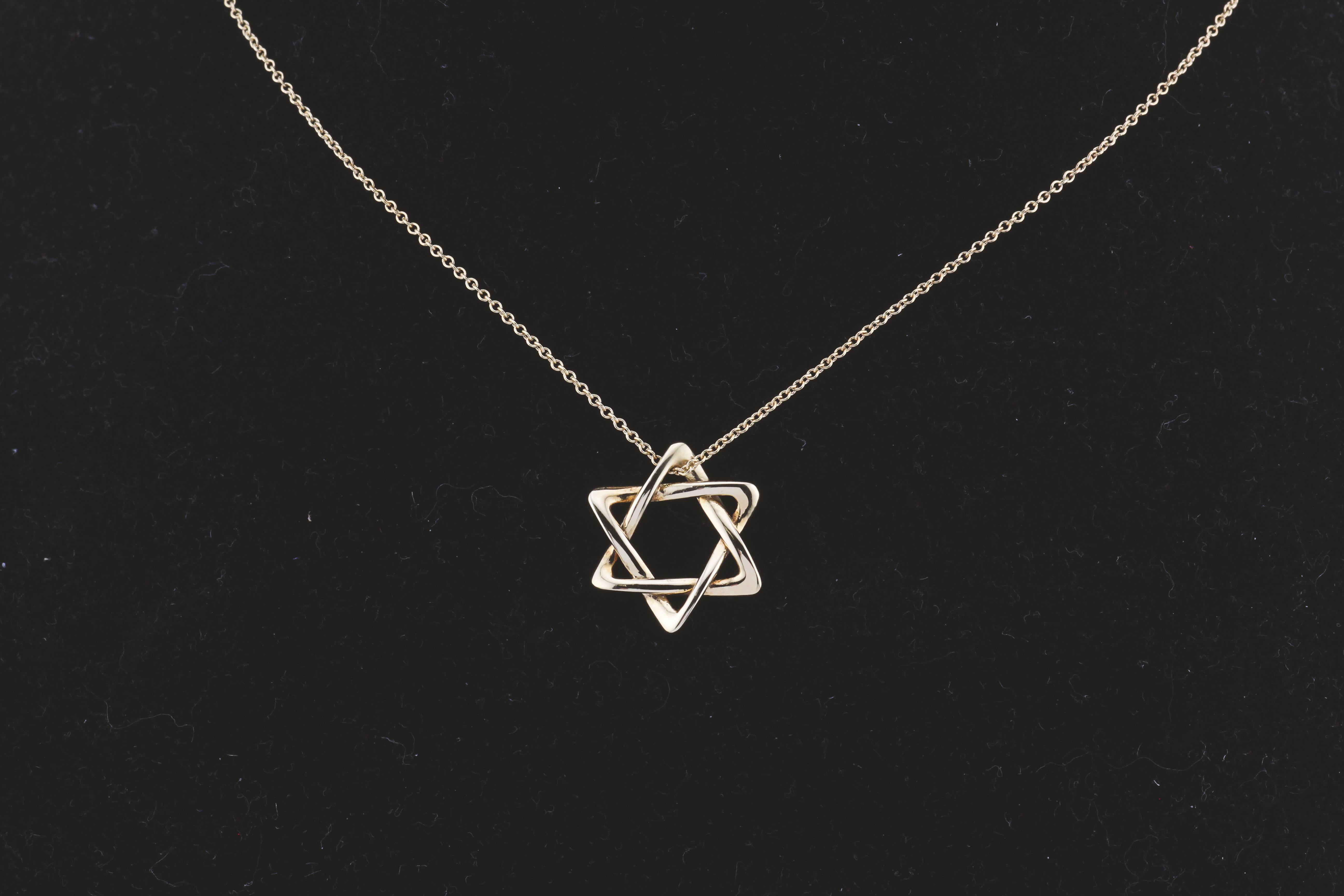 Tiffany & Co. Elsa Peretti 18K Gold  Large (18mm) Star of David Pendant Necklace For Sale 3