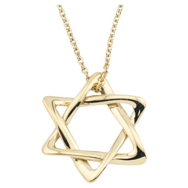 Tiffany & Co. Elsa Peretti 18K Gold  Large (18mm) Star of David Pendant Necklace For Sale