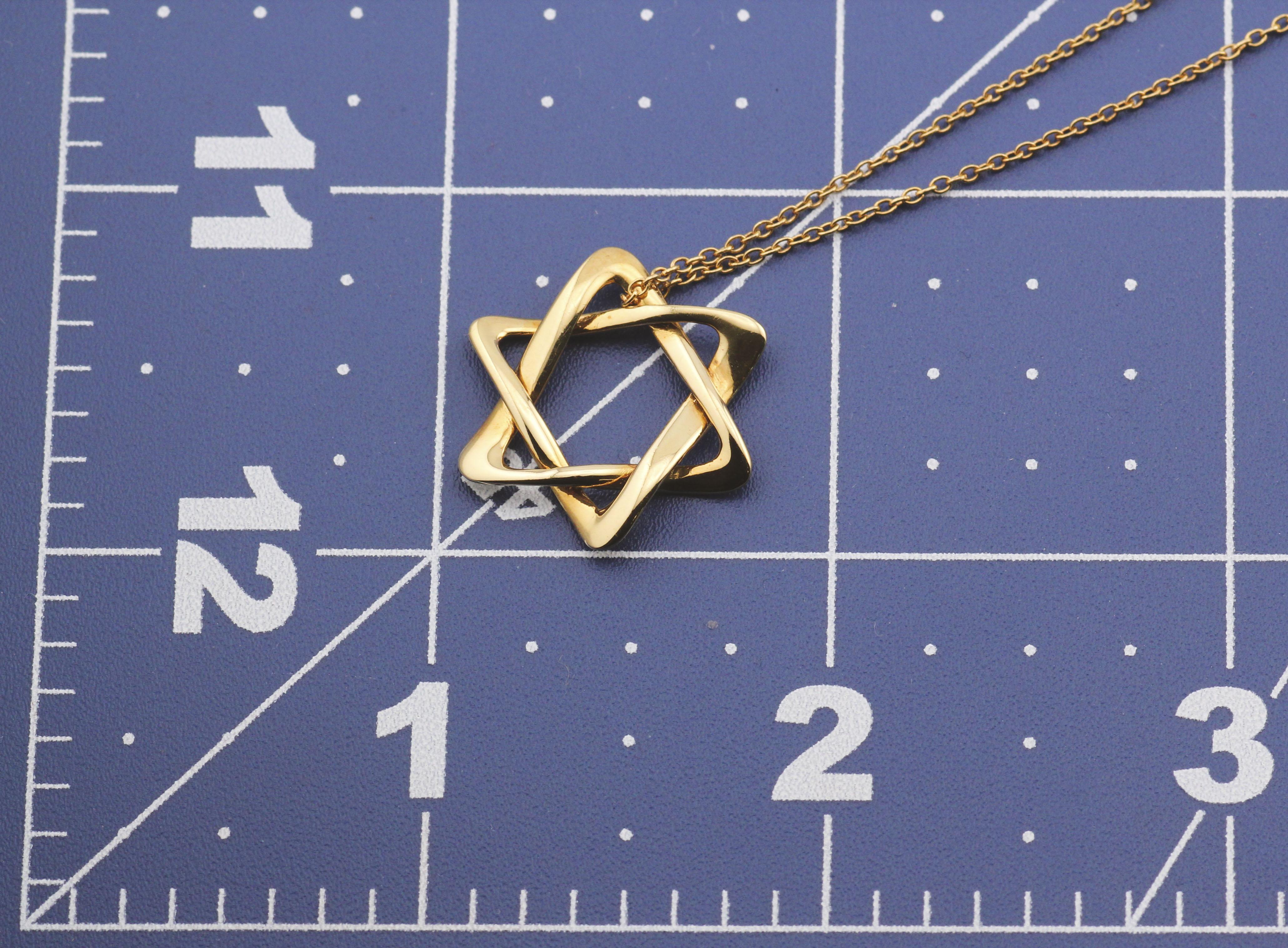 Tiffany & Co. Elsa Peretti 18K Gold  Large Star of David Pendant Long Necklace 3